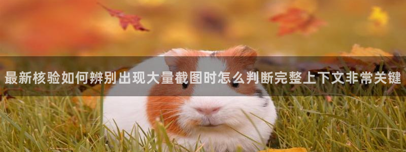 吃瓜网站入口：最新核验如何辨别出现大量截图时怎么判断完整上下文非常关键