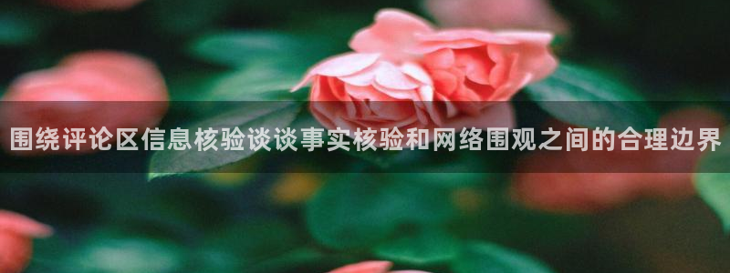 51吃瓜网址大全：围绕评论区信息核验谈谈事实核验和网络围观之间的合理边界