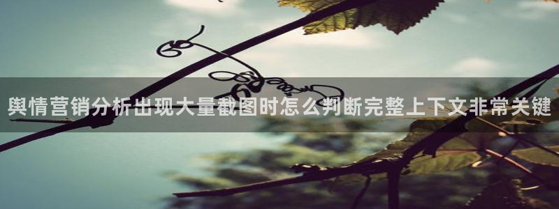 吃瓜热点资讯：舆情营销分析出现大量截图时怎么判断完整上下文非常关键