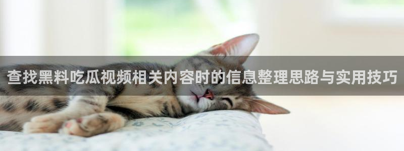 51吃瓜热门事件排行：查找黑料吃瓜视频相关内容时的信息整理思路与实用技巧