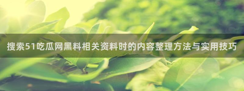 51吃瓜事件内容：搜索51吃瓜网黑料相关资料时的内容整理方法与实用技巧