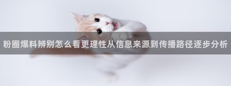 吃瓜最新事件：粉圈爆料辨别怎么看更理性从信息来源到传播路径逐步分析