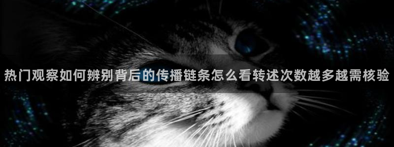 51吃瓜爆料网：热门观察如何辨别背后的传播链条怎么看转述次数越多越需核验